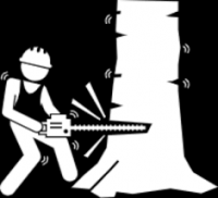 Pro Tree Services Townsville