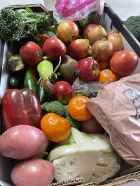 Boxa Grande - family box. Feed a family of 4-6 people for a week with 12 vegetable varieties and 6 fruit varieties.