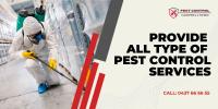 Campbelltown Pest Control