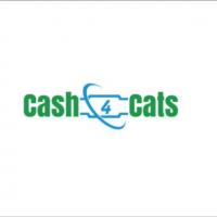 Cash For Catalytic Converter