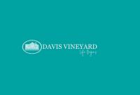 Davis Vineyard