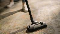 Dust Buster Carpet Cleaning