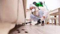 Flatline Pest Control - Central Coast Pest Control