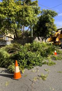 Stump Time - Tree Removals & Stump Removals Gold Coast