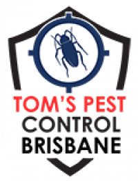 Tom's Pest Control Brisbane