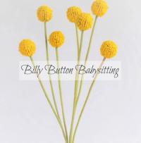 BILLY BUTTON BABYSITTING