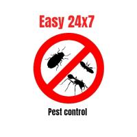 Easy 24x7 Pest Control