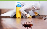 Pest Control in Melbourne