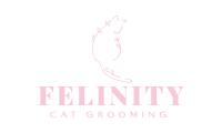Felinity Cat Grooming