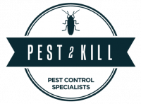 Pest2Kill