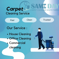 Same Day Carpet Cleaning