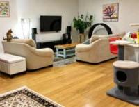 Technoserve - Floating Floors Canberra