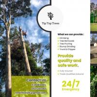 Tip Top Trees Pty Ltd