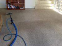 Carpet Cleaning