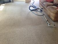Carpet Cleaning