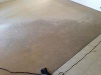 Carpet Cleaning