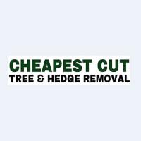 Cheapest Cut Tree & Hedge Removal
