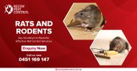 Recon Pest Control Melbourne