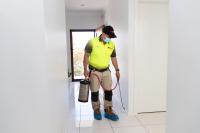 Your Local Termite and Pest Control