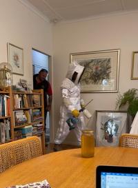 Wasps nest removal