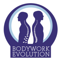 Bodywork Evolution