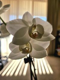 Braintree Memory Solutions Ltd