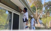 Local House Painters in Langwarrin