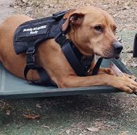 Tupper security and personal safety