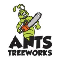 Ants tree works Pty. Ltd