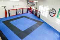IFA Martial Arts