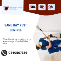 Pest Control Tottenham