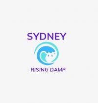 Sydney Rising Damp