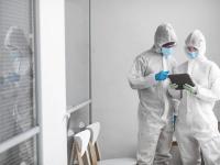 Mould Experts Gold Coast