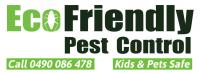 Pest Control Morley and Termite Treatment Morley