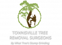 Townsville Stump Tree Surgeons