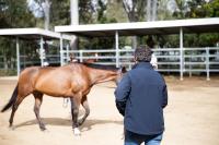 Westvets Veterinary Clinic