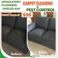 iCarpet clean and pest control