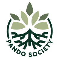 Pando Society Pty Ltd