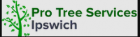 Tree Services Ipswich