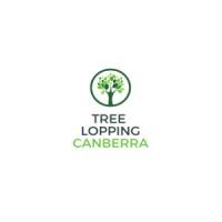 Canberra Tree Lopping and Tree Removal