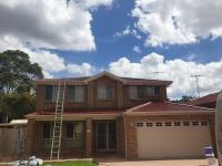 Dayluxe roof painting