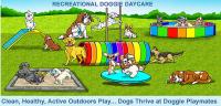 Doggie Playmates Daycare and Grooming