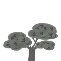 Northern Beaches Landscaping Group