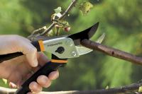 Tree Pruning