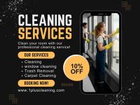 1 plus cleaning