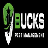 Bugs Pest Management