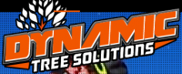 Dynamic Tree Solutions