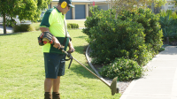 Jim's Mowing Panania North