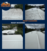 Jono's Gutter Cleaning