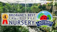 Ladybird Fruit Tree Nursery